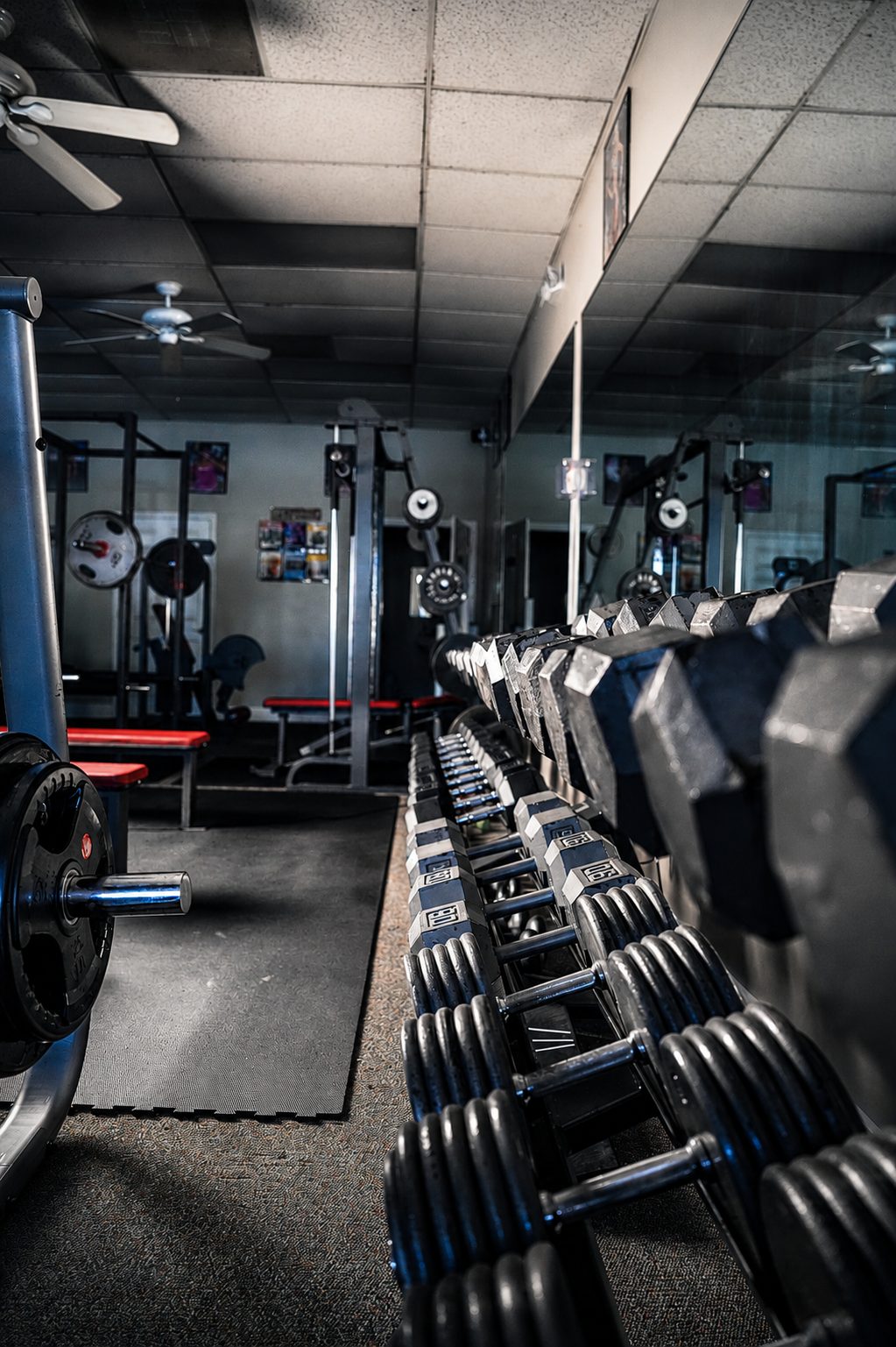 Dumbbell rack along a gym wall — gym interior photography
