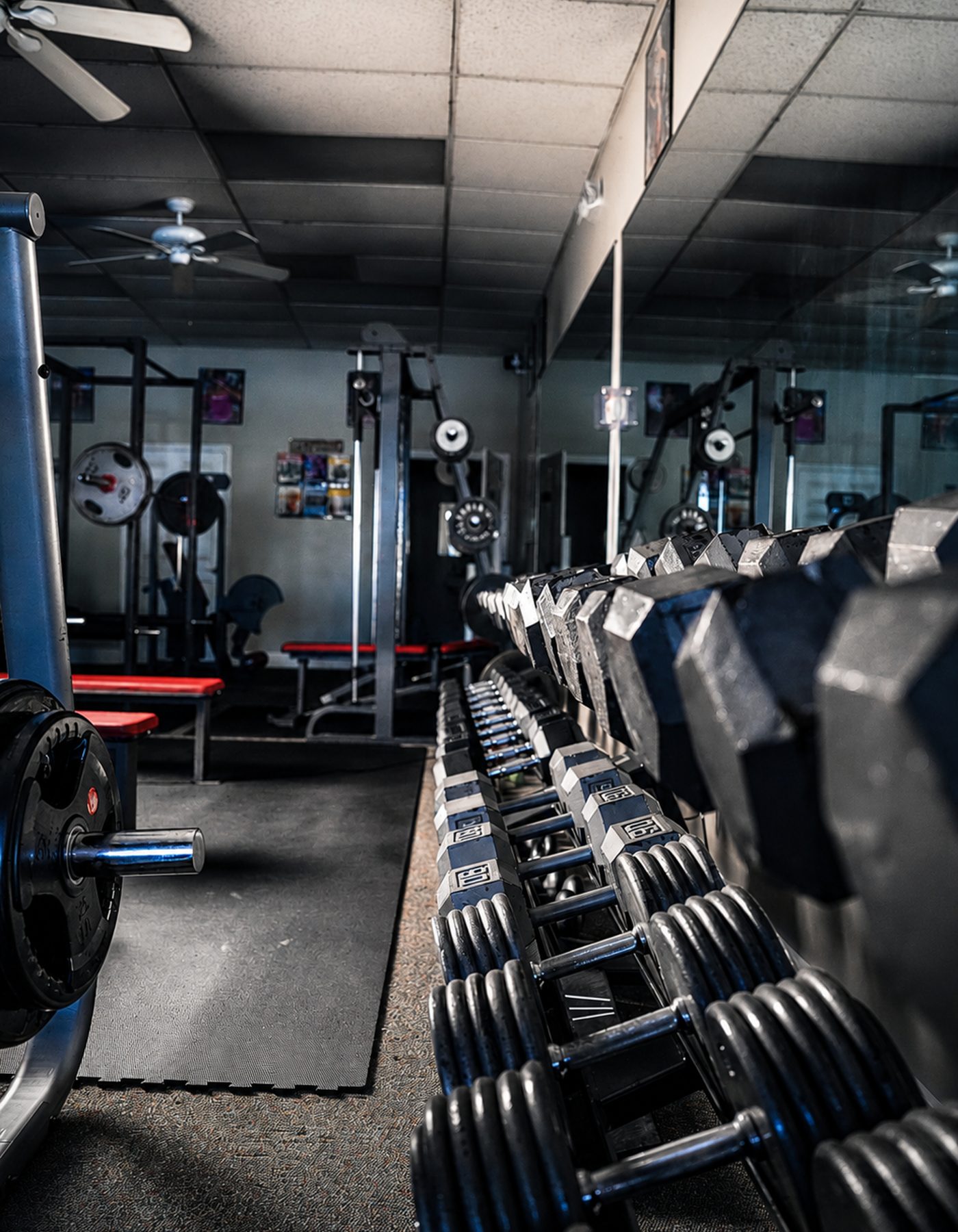 Dumbbell rack along a gym wall, gym interior photography