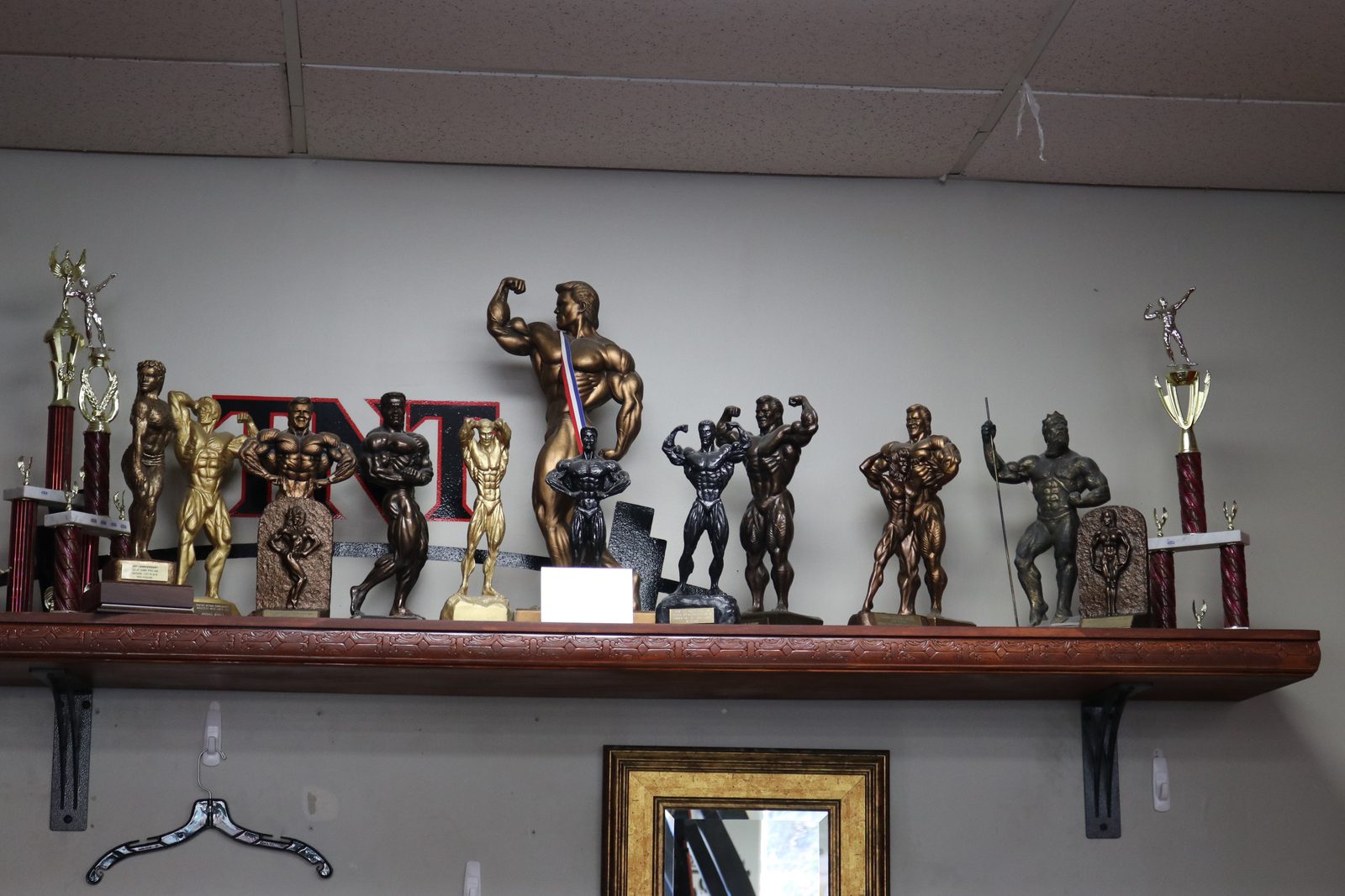 Competition trophies on display — fitness facility photography